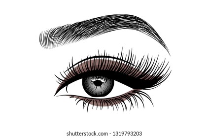 Woman's eye and eyebrow with make up. Fashion girl eye design. Eye icon. Vector illustration