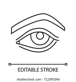Woman's eye linear icon. Thin line illustration. Contour symbol. Vector isolated outline drawing. Editable stroke