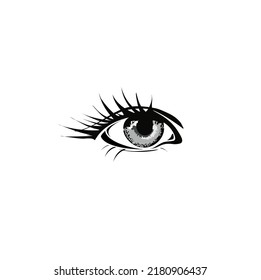 El ojo de la mujer sobre un fondo blanco, negro y blanco, pestañas hermoso ojo