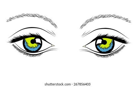 The woman's eyes
