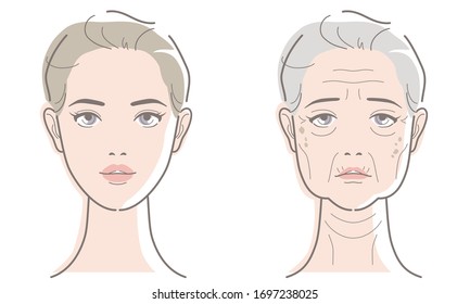 Woman's Face At Different Ages. Young And Elderly Image Of Skin Aging. Vector Illustration Isolated On White Background.