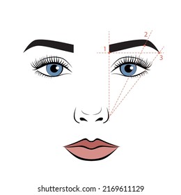 A woman's face with an eyebrow scheme. Eyebrows tutorial