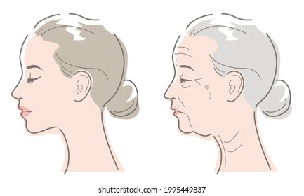Woman's face seen from the side. Young and elderly image of skin aging. Vector illustration isolated on white background.