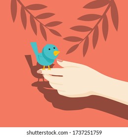 Die Hand der Frau mit einem Vogel im Sommer