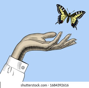 Woman's hand with a butterfly. Concept of beauty and nature protection. Vintage engraving stylized drawing. Vector illustration.