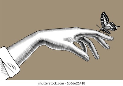 Woman's hand with a butterfly sitting on her finger. Vintage engraving stylized drawing. Vector illustration
