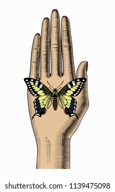 Woman's hand with a butterfly sitting on her palm. Vintage color engraving stylized drawing. Vector illustration