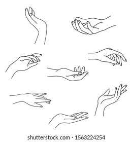 Woman's hand collection line  Vector Illustration female hands different gestures  Lineart in trendy minimalist style  Logo design  hand cream  nail Studio  posters  cards 