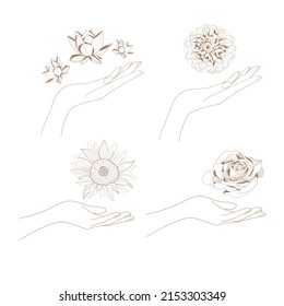 Woman's hand with flower. Vector illustration. 