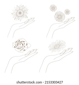 Woman's hand with flower. Vector illustration. 