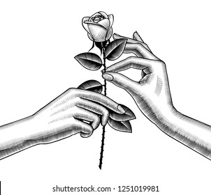 Hand Holding Rose Images, Stock Photos & Vectors | Shutterstock