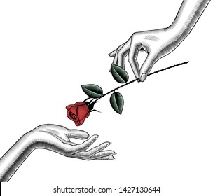 Woman's hand give red rose into other hand. Retro style valentine greeting card design. Vintage color engraving stylized drawing. Vector illustration