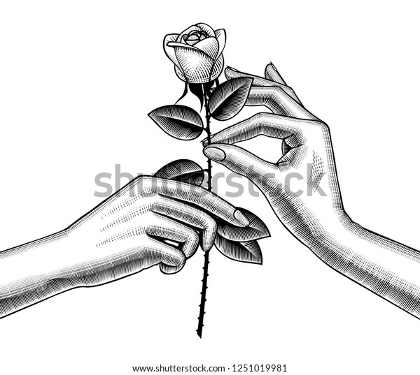 womans-hand-give-red-rose-into-stock-vector-royalty-free-1251019981