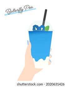 Woman's hand holding Iced Butterfly Pea Flower Tea Latte. Beautiful blue drink in Plastic cup on the White Background. 