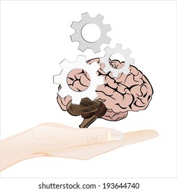 Woman's hand holding object-human head with gears concept isolated on white background. 