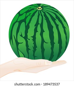 Woman's hand holding object-watermelon isolated on white background.
