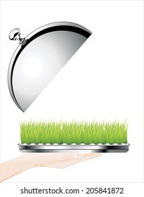 Woman's hand holding silver platter with Grass