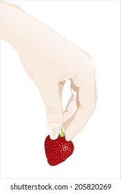 Woman's hand holding strawberries isolated on white background.