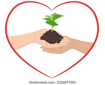 Woman's hand holding a tree on a white background.