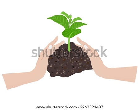 Woman's hand holding a tree on a white background.