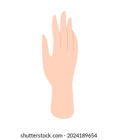 Woman's hand. Human hands, palms, body part. Vector illustration in flat style isolated on white background.