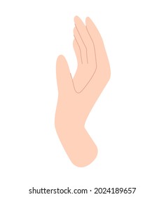 Woman's hand. Human hands, palms, body part. Vector illustration in flat style isolated on white background.