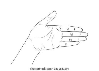 Woman's hand, palm. Vector stock illustration eps10.  Outline.