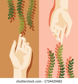 Woman's hand and plant in summer theme