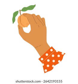 Woman's hand with polka dot shirt cuff holding ripe fresh peach with leaves. Cute vector illustration for jam jar label, harvest, farmer's shop, gardening, pie recipe.