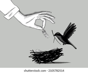 Woman's hand hand puts a feather in a bird's nest and a flying bird with a branch in its beak. Vintage engraving stylized drawing. Vector illustration