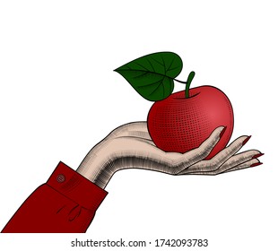 Woman's hand with an red apple. Vintage engraving stylized drawing. Vector illustration