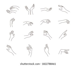 Woman's hand set in line art style. Female hands different gestures vector illustration