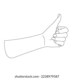 Woman's hand shows thumbs up,  isolate