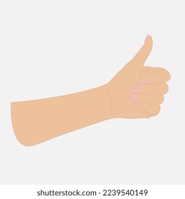 La mano de la mujer muestra el pulgar hacia arriba, la piel clara, el aislamiento