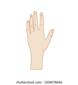 Woman's hand. Vector illustration