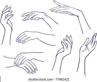 Hand Outline Female High Res Stock Images Shutterstock