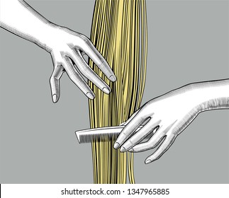 Woman's hands combing hair. Vintage color engraving stylized drawing. Vector illustration
