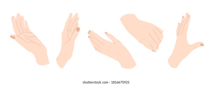 Woman's hands. Hand gestures in different positions. Vector flat cartoon illustration. Perfect for print, cosmetics or manicure branding