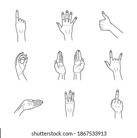 Woman's hands set isolated on white background. Vector illustration.