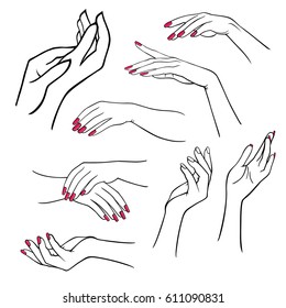 Woman's hands set isolated on white background, vector illustration