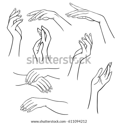 Woman's hands set isolated on white background, vector illustration