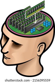 A woman's head with memory upgrade.