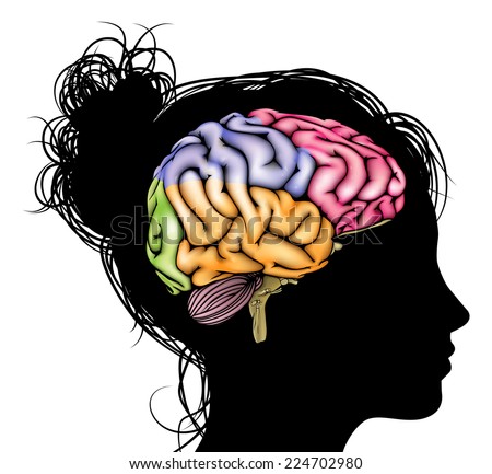 A womans head in silhouette with a sectioned brain. Concept for mental, psychological, brain development, learning and education or other medical theme