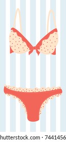 woman's lingerie
