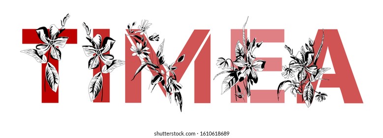 Woman's name Timea. Font composition named TIMEA. Decorative floral font. Typography in the style of art nouveau, modern, vintage.