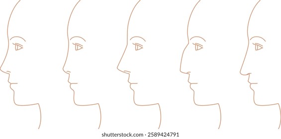 A woman's profile. Illustration of nose shape