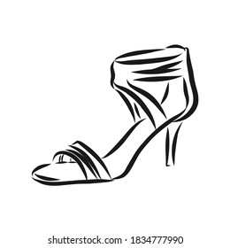 Woman's shoe, vector sketch, women's Shoe, vector sketch illustration