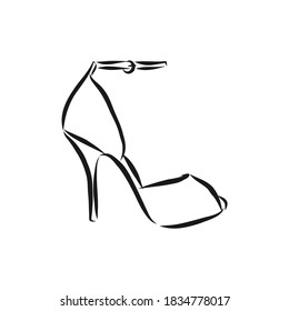 Woman's shoe, vector sketch, women's Shoe, vector sketch illustration