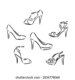 Woman's shoe, vector sketch, women's Shoe, vector sketch illustration