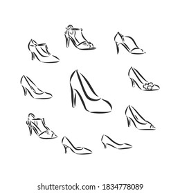 Woman's shoe, vector sketch, women's Shoe, vector sketch illustration